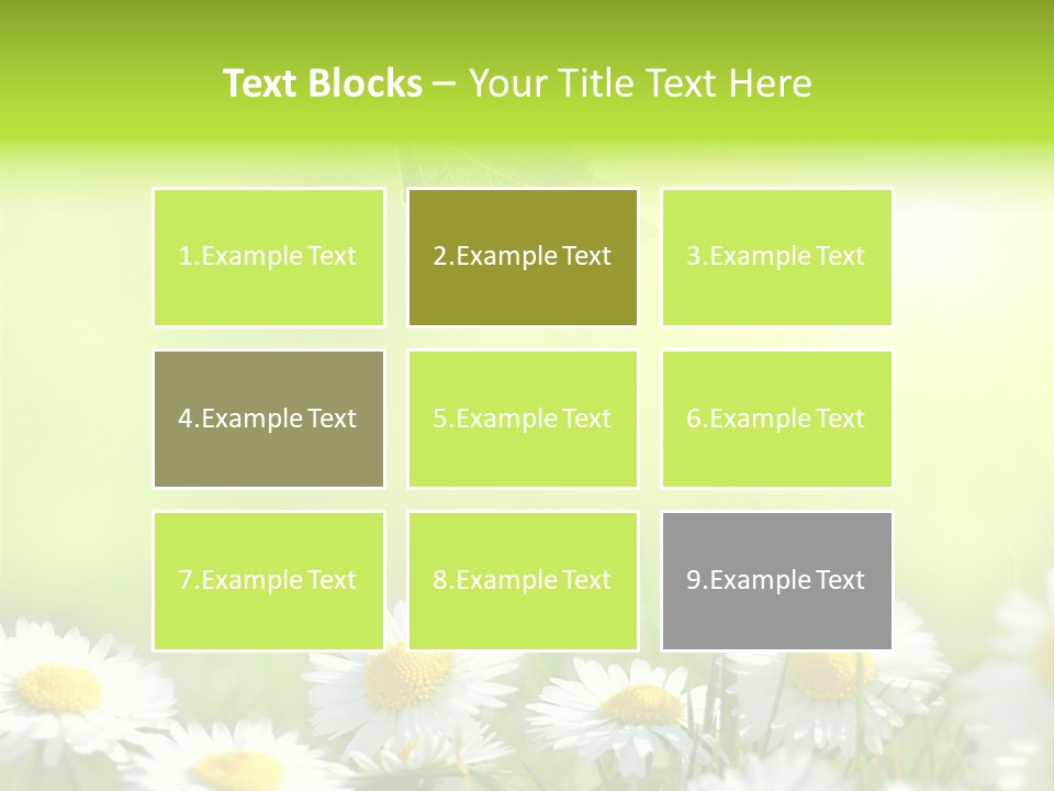 Chamomile Beam Sun PowerPoint Template