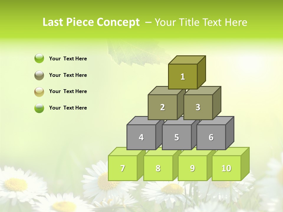 Chamomile Beam Sun PowerPoint Template