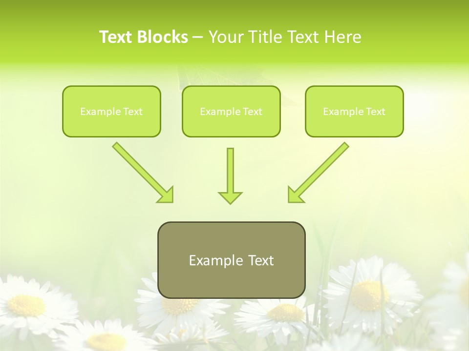 Chamomile Beam Sun PowerPoint Template