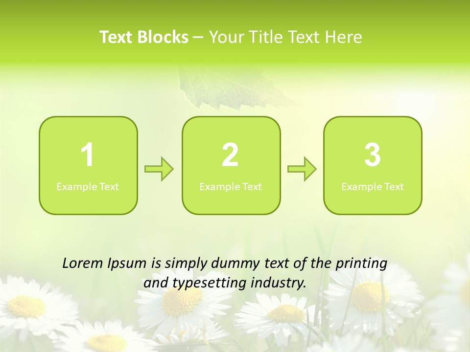 Chamomile Beam Sun PowerPoint Template