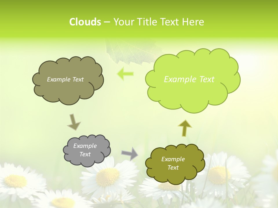 Chamomile Beam Sun PowerPoint Template