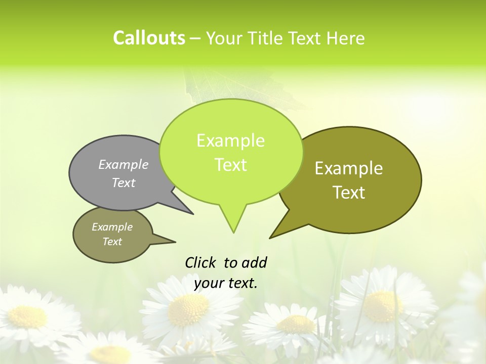 Chamomile Beam Sun PowerPoint Template