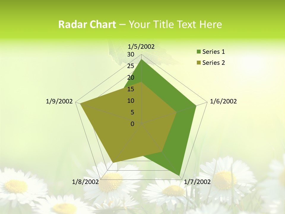 Chamomile Beam Sun PowerPoint Template