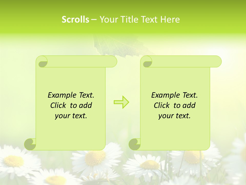 Chamomile Beam Sun PowerPoint Template