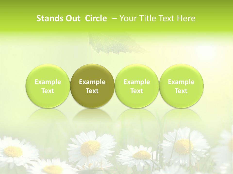 Chamomile Beam Sun PowerPoint Template
