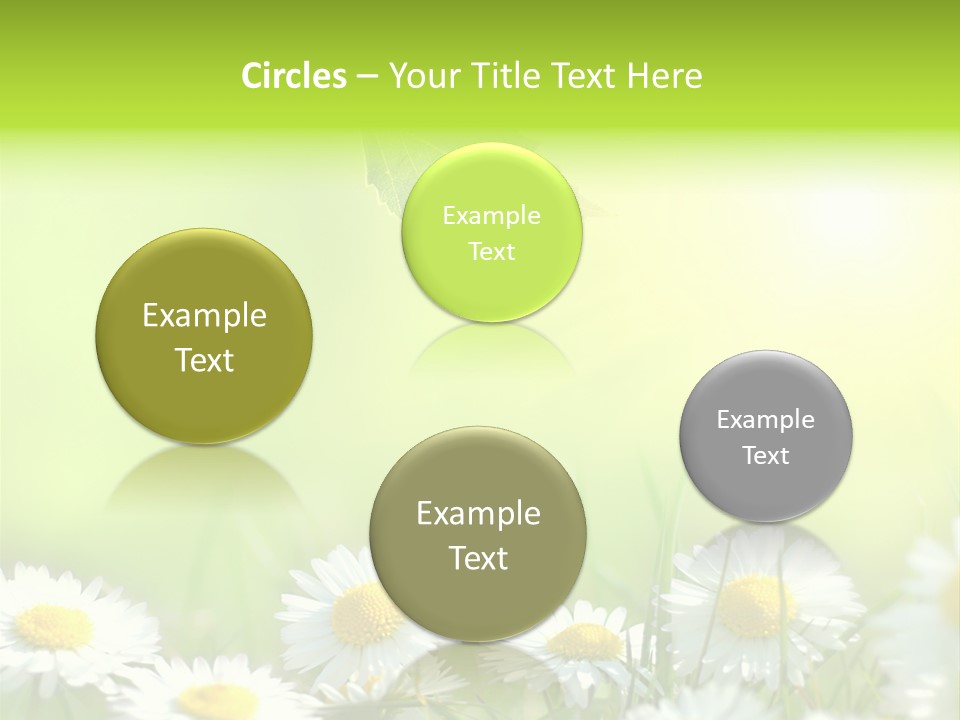 Chamomile Beam Sun PowerPoint Template