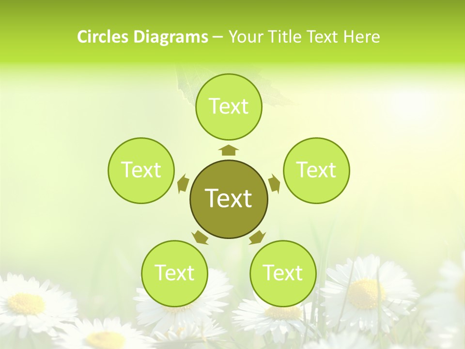 Chamomile Beam Sun PowerPoint Template