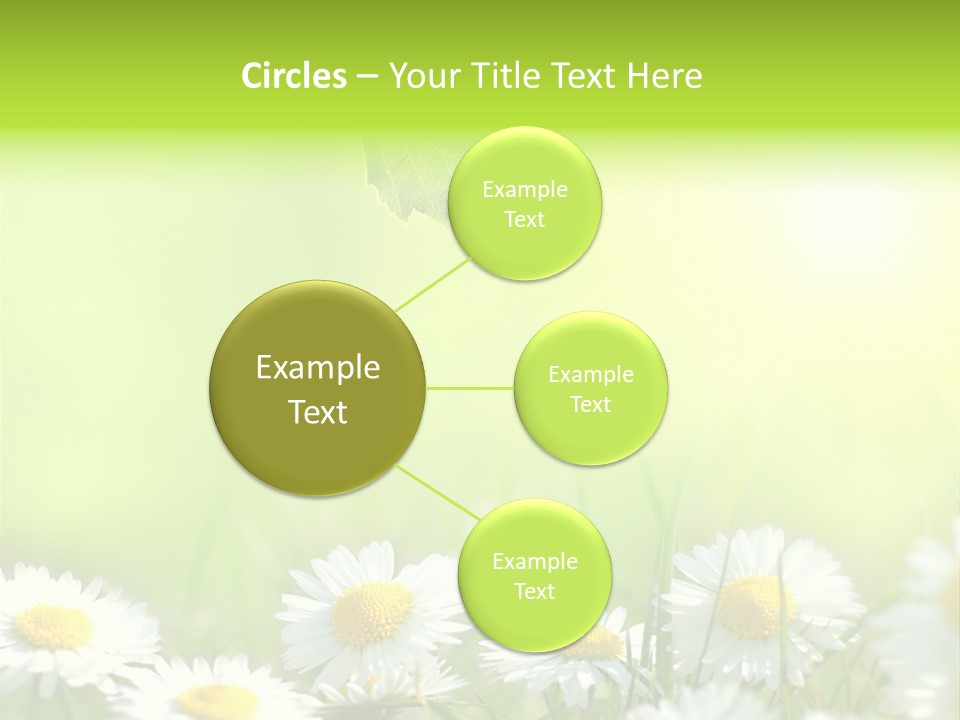Chamomile Beam Sun PowerPoint Template
