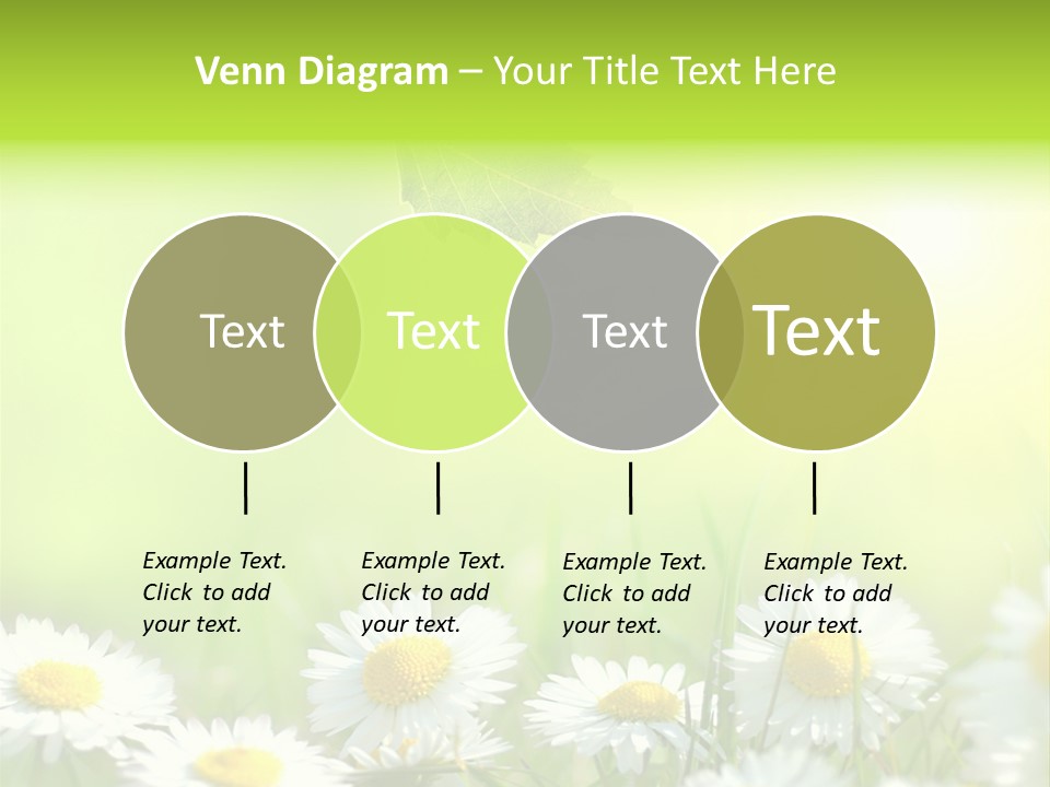 Chamomile Beam Sun PowerPoint Template