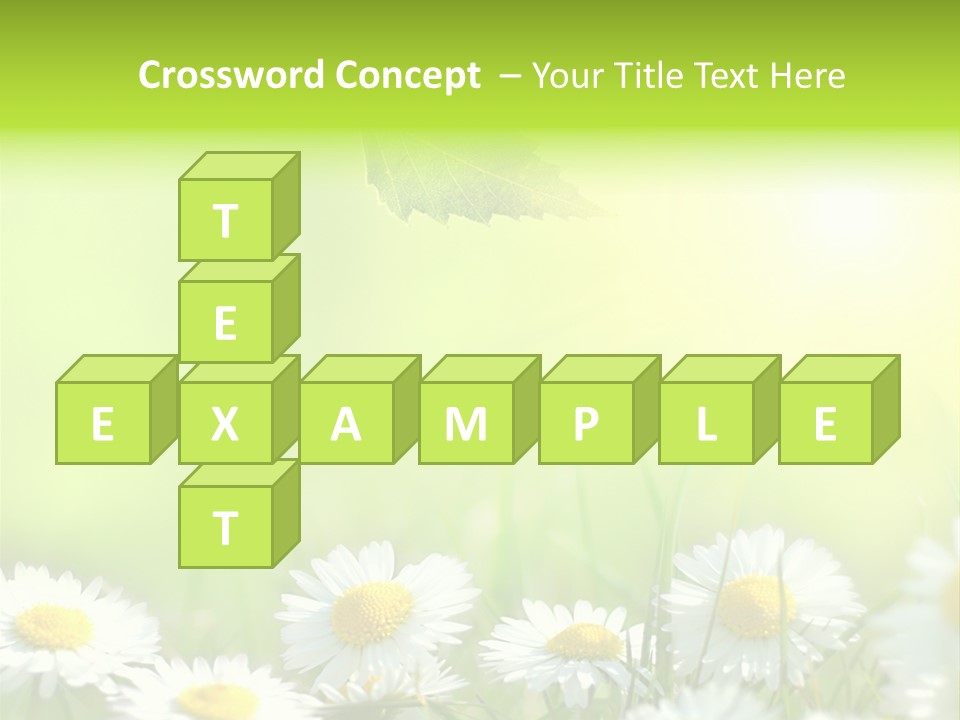 Chamomile Beam Sun PowerPoint Template