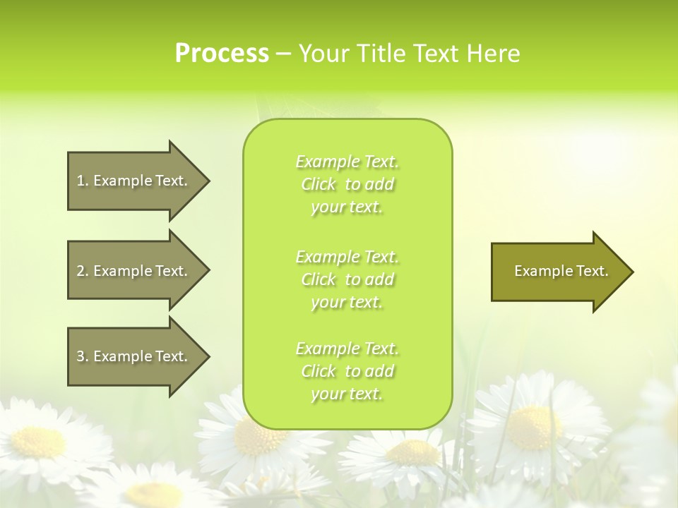Chamomile Beam Sun PowerPoint Template