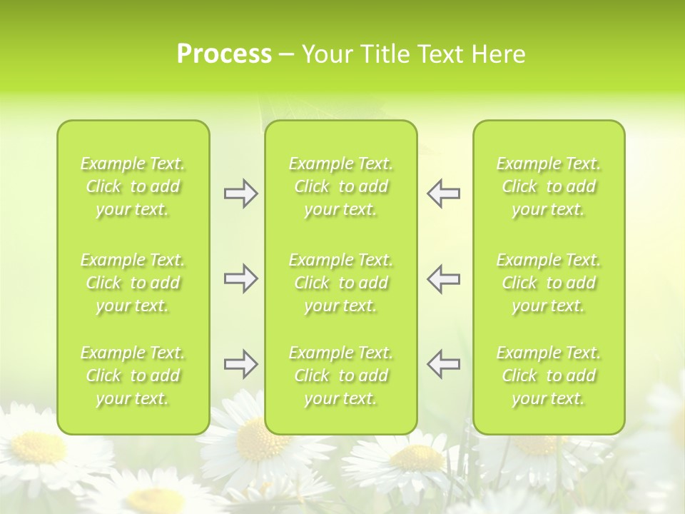 Chamomile Beam Sun PowerPoint Template