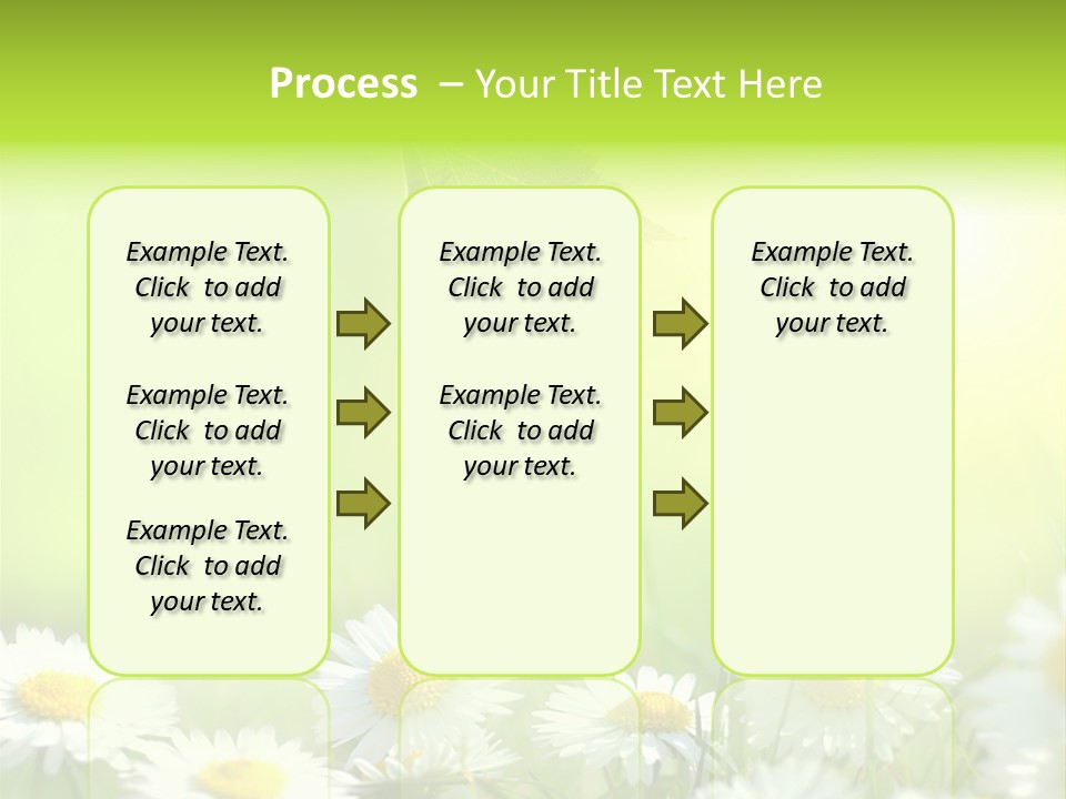 Chamomile Beam Sun PowerPoint Template