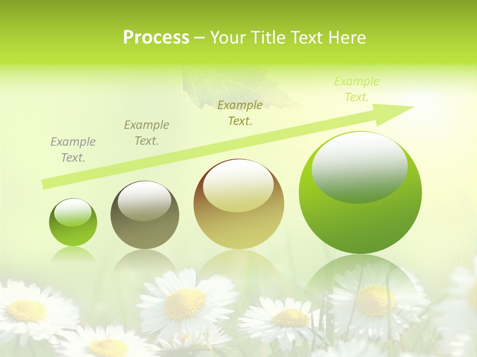 Chamomile Beam Sun PowerPoint Template