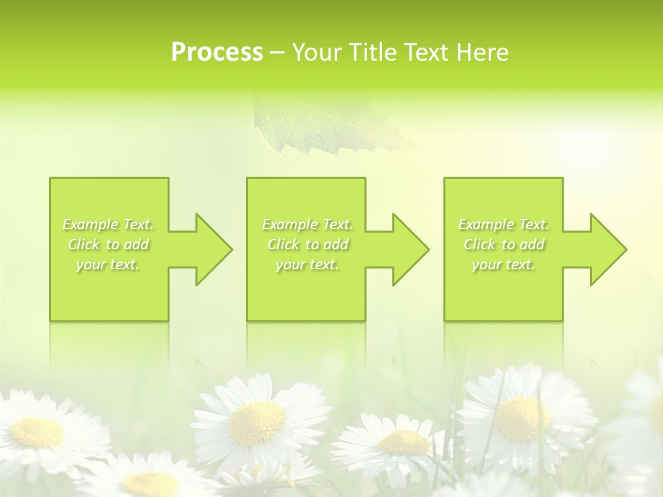 Chamomile Beam Sun PowerPoint Template