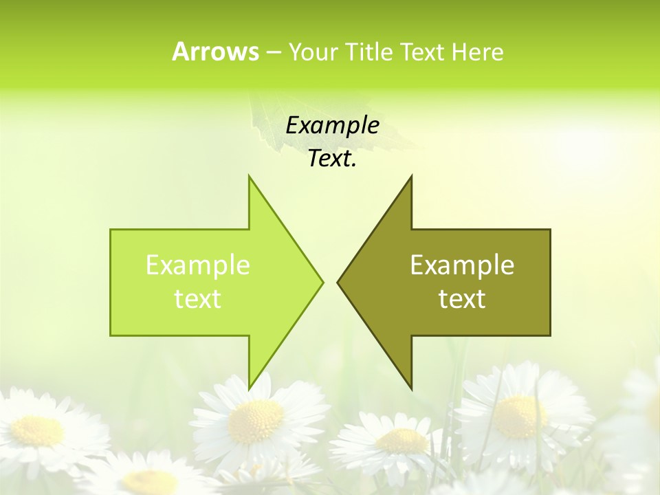 Chamomile Beam Sun PowerPoint Template