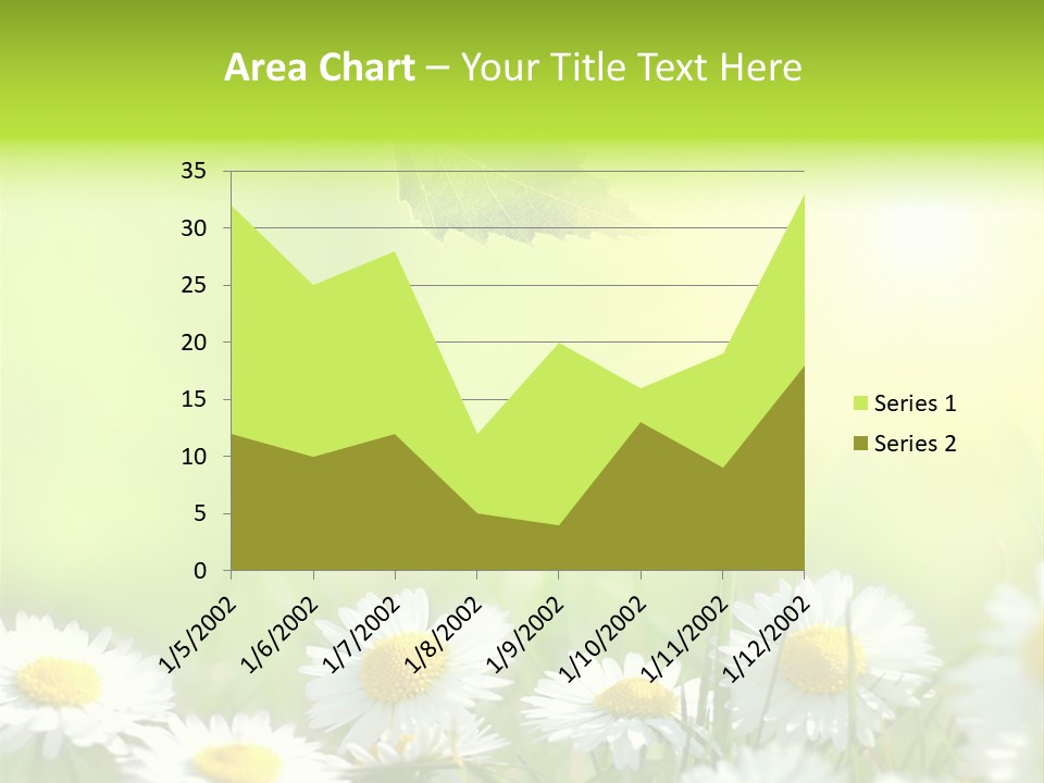 Chamomile Beam Sun PowerPoint Template