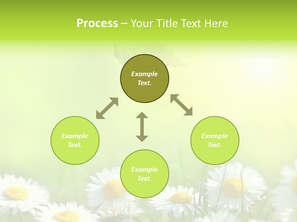 Chamomile Beam Sun PowerPoint Template