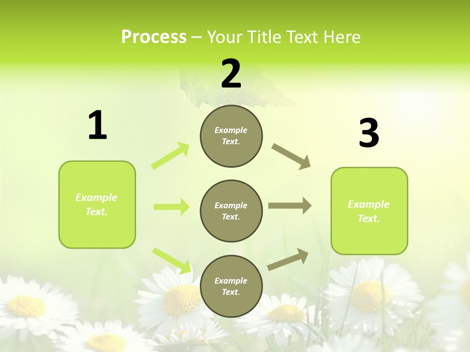 Chamomile Beam Sun PowerPoint Template