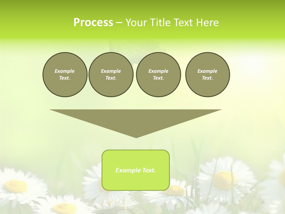 Chamomile Beam Sun PowerPoint Template