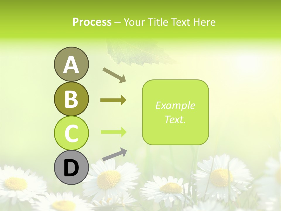 Chamomile Beam Sun PowerPoint Template