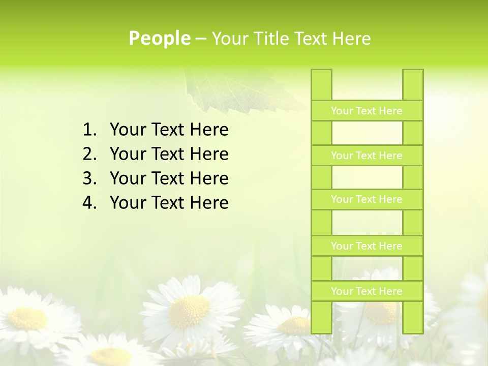 Chamomile Beam Sun PowerPoint Template