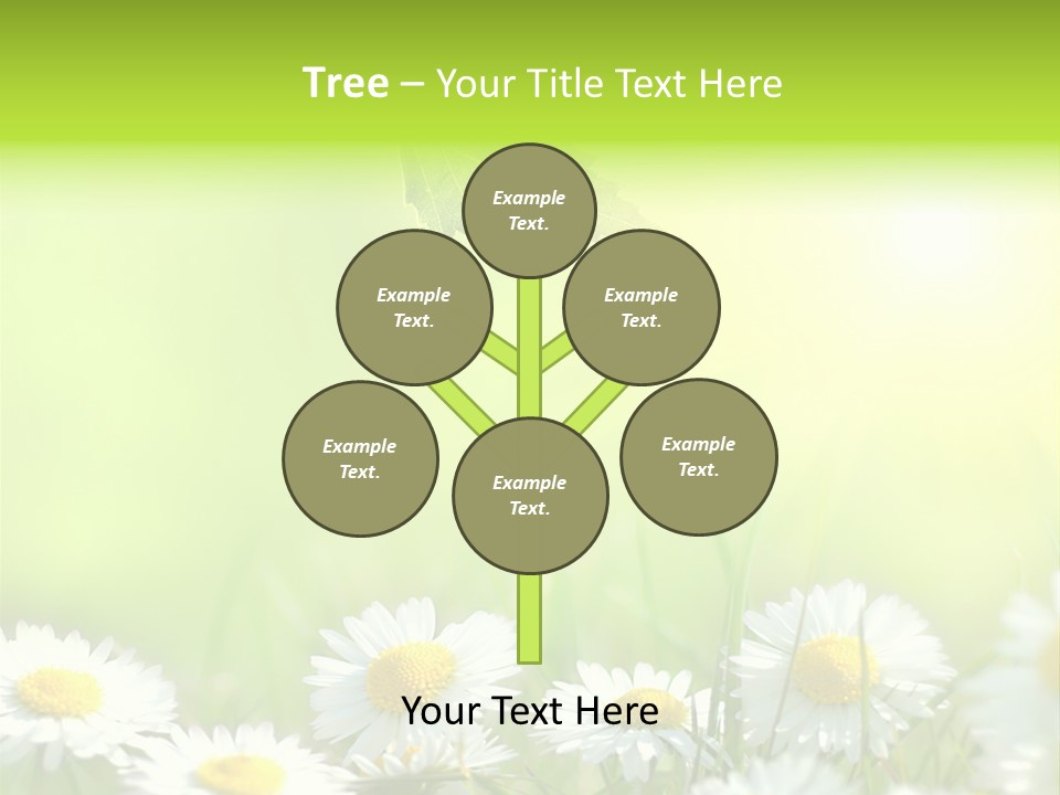 Chamomile Beam Sun PowerPoint Template