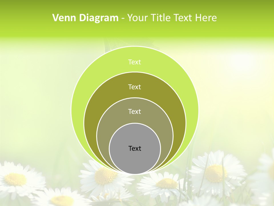 Chamomile Beam Sun PowerPoint Template