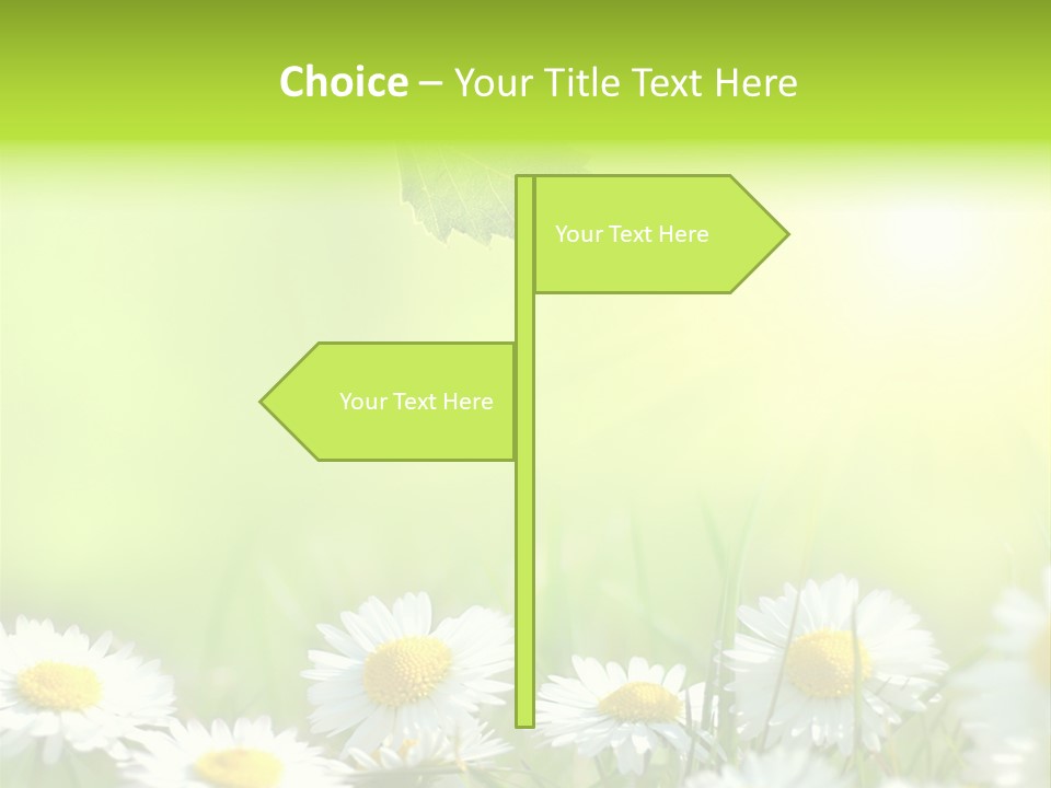 Chamomile Beam Sun PowerPoint Template