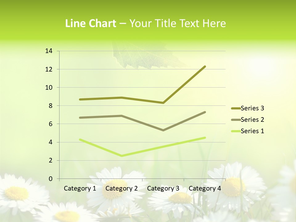 Chamomile Beam Sun PowerPoint Template