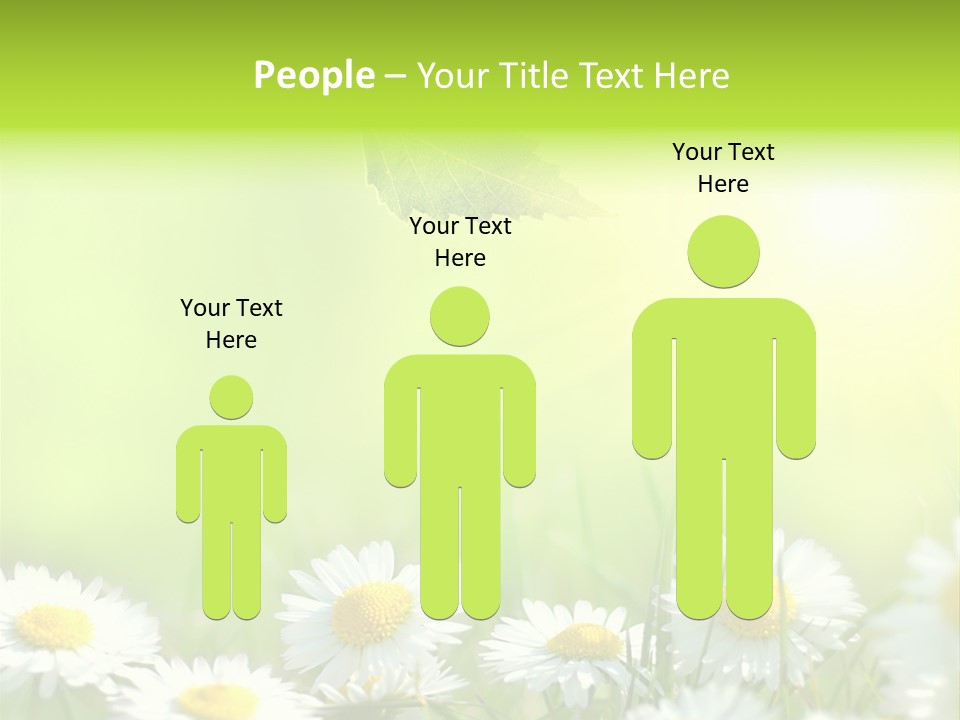 Chamomile Beam Sun PowerPoint Template