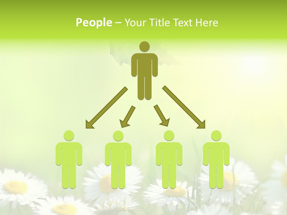 Chamomile Beam Sun PowerPoint Template