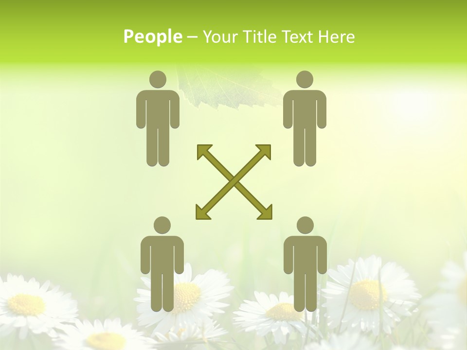 Chamomile Beam Sun PowerPoint Template