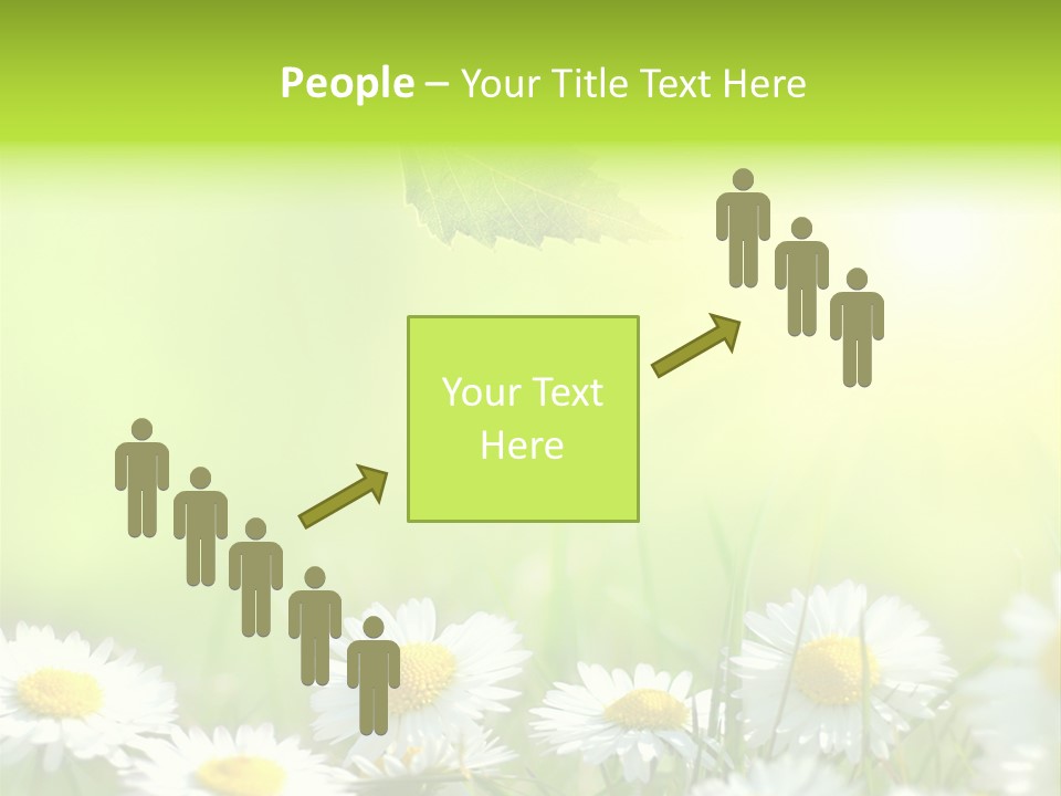 Chamomile Beam Sun PowerPoint Template