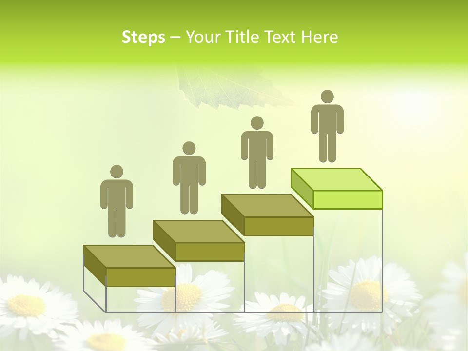 Chamomile Beam Sun PowerPoint Template