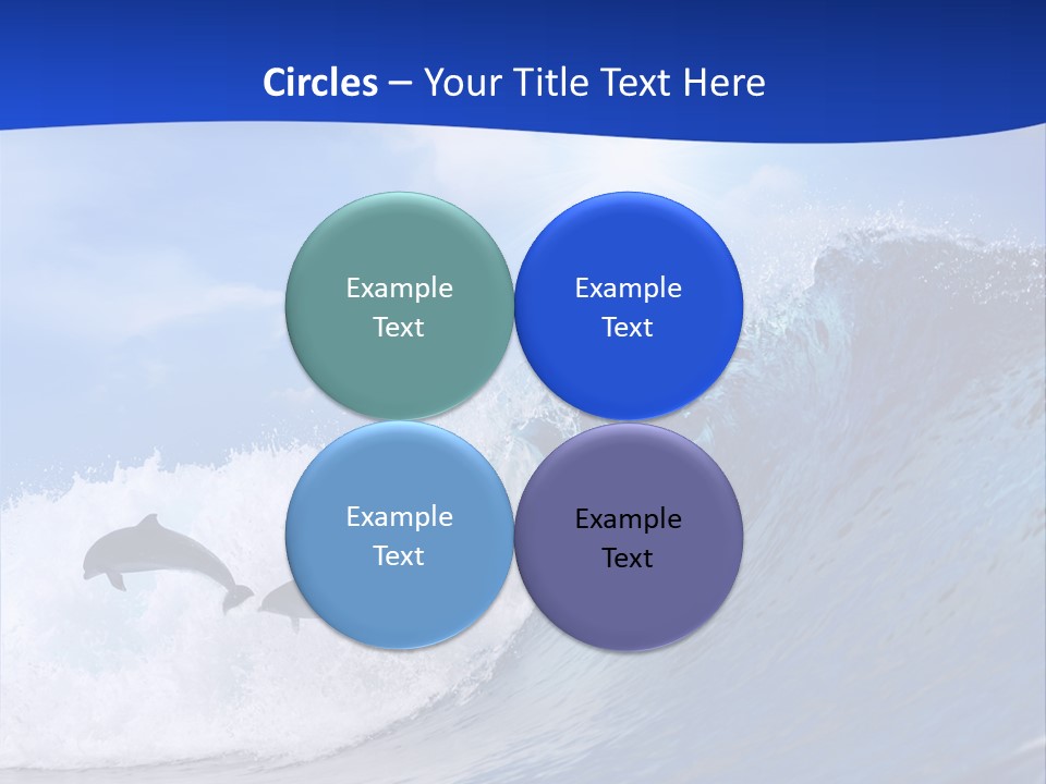 Daylight Animals Splashing PowerPoint Template