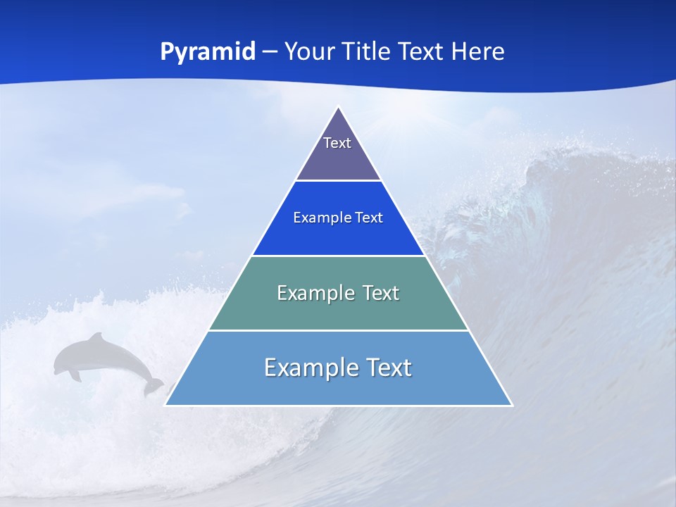 Daylight Animals Splashing PowerPoint Template