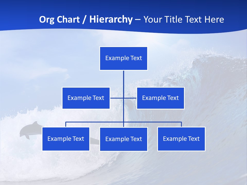 Daylight Animals Splashing PowerPoint Template