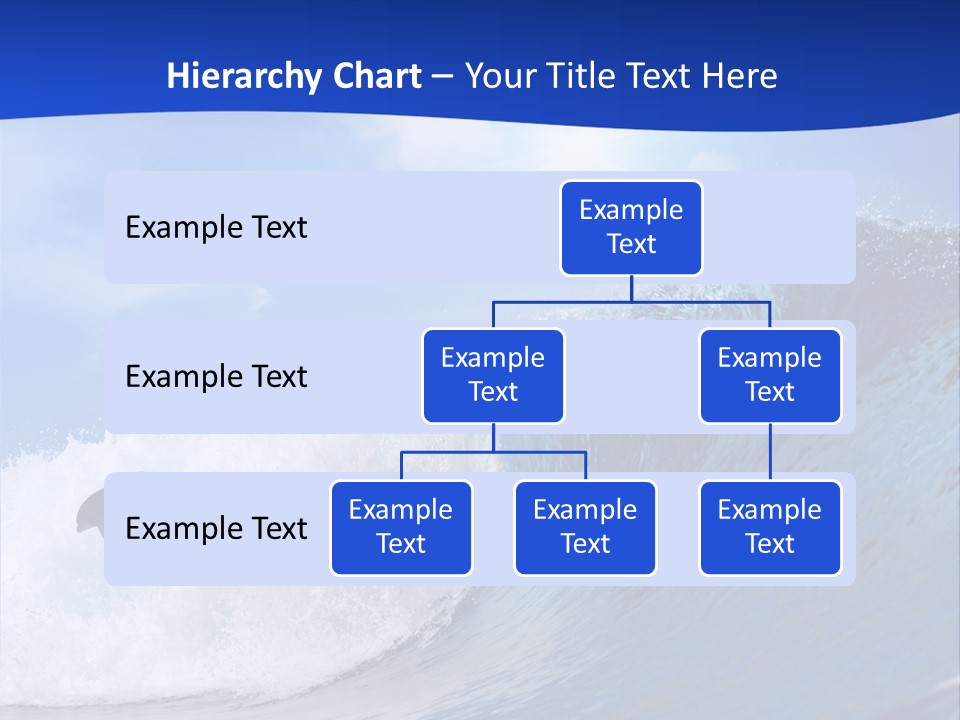 Daylight Animals Splashing PowerPoint Template