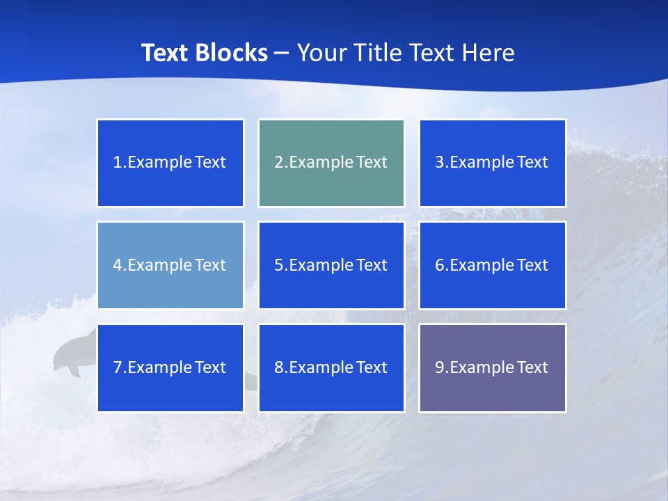 Daylight Animals Splashing PowerPoint Template