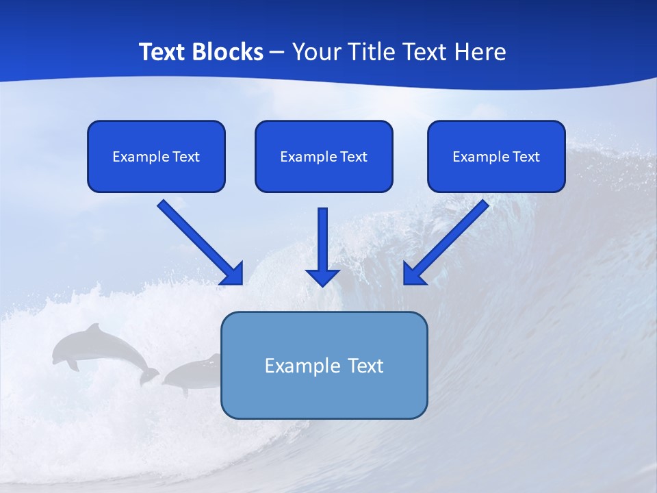 Daylight Animals Splashing PowerPoint Template