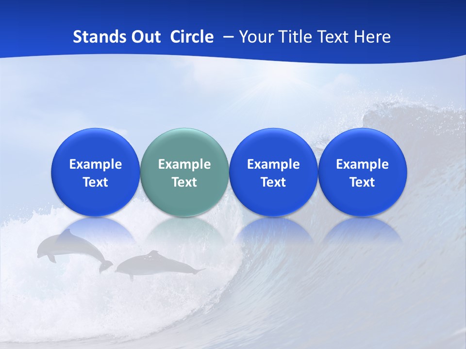 Daylight Animals Splashing PowerPoint Template