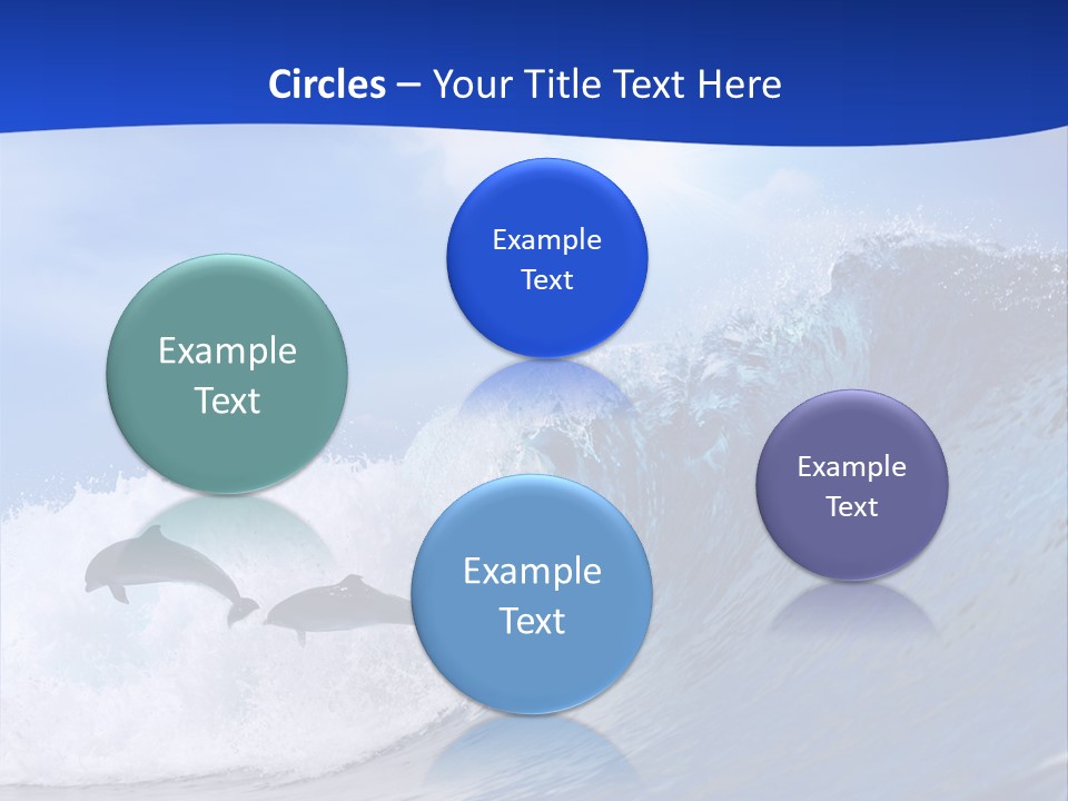 Daylight Animals Splashing PowerPoint Template