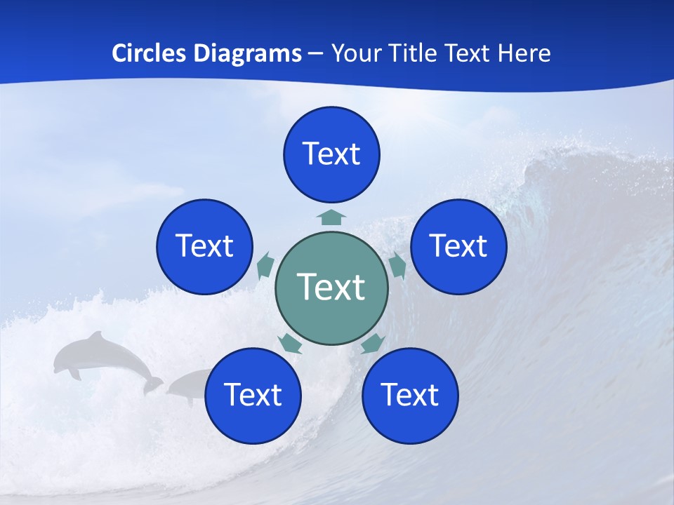 Daylight Animals Splashing PowerPoint Template