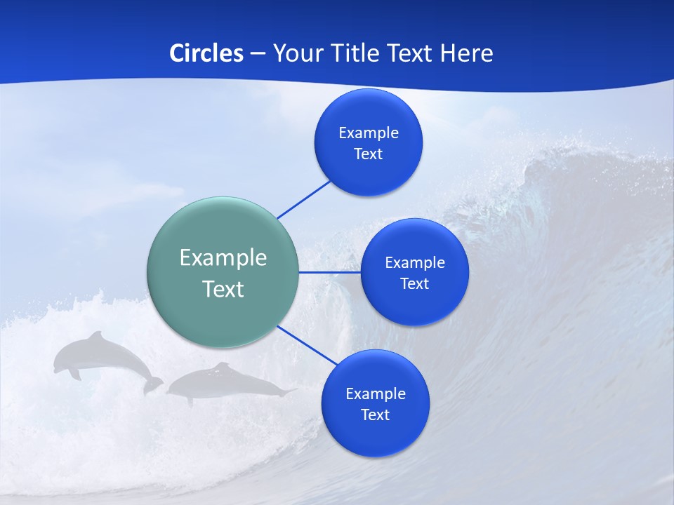 Daylight Animals Splashing PowerPoint Template