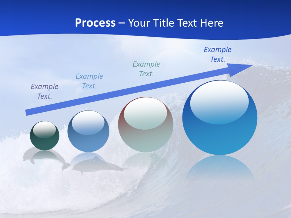 Daylight Animals Splashing PowerPoint Template