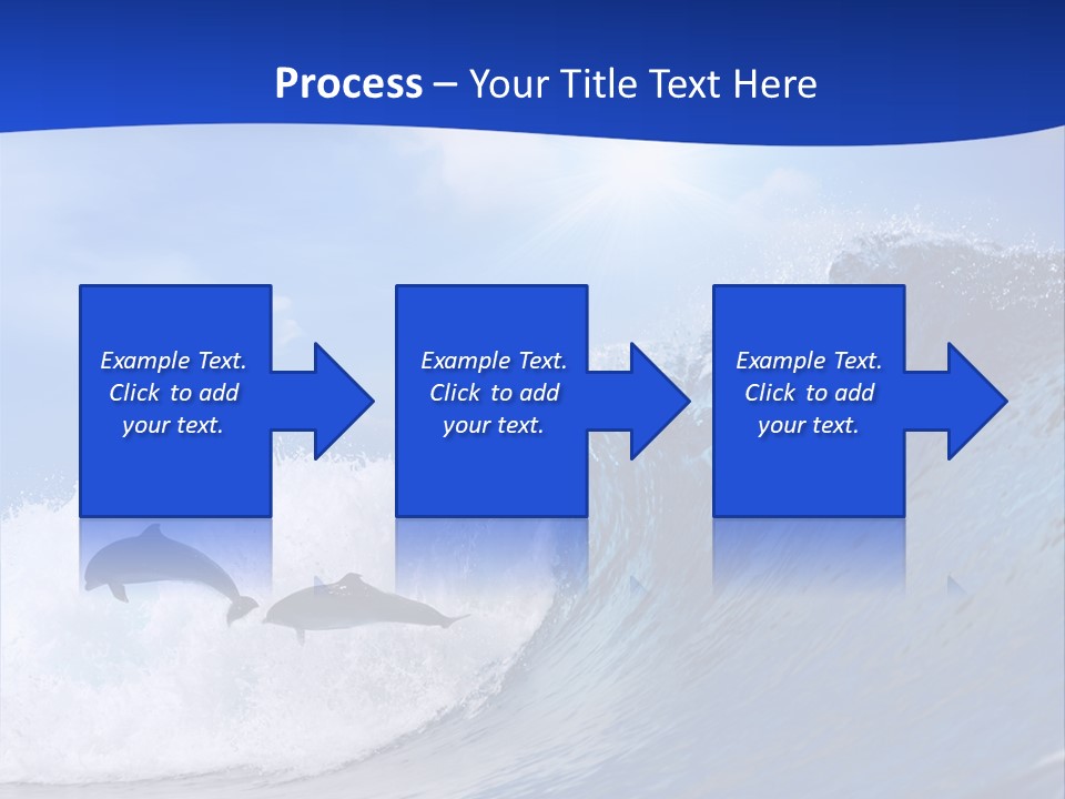 Daylight Animals Splashing PowerPoint Template