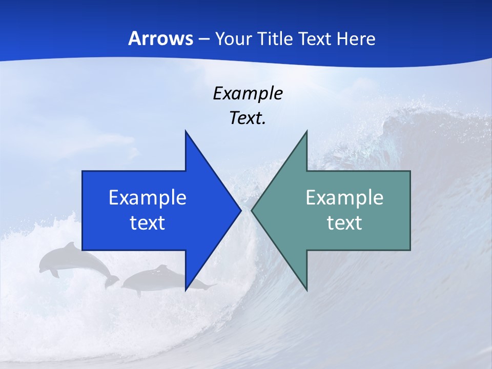 Daylight Animals Splashing PowerPoint Template