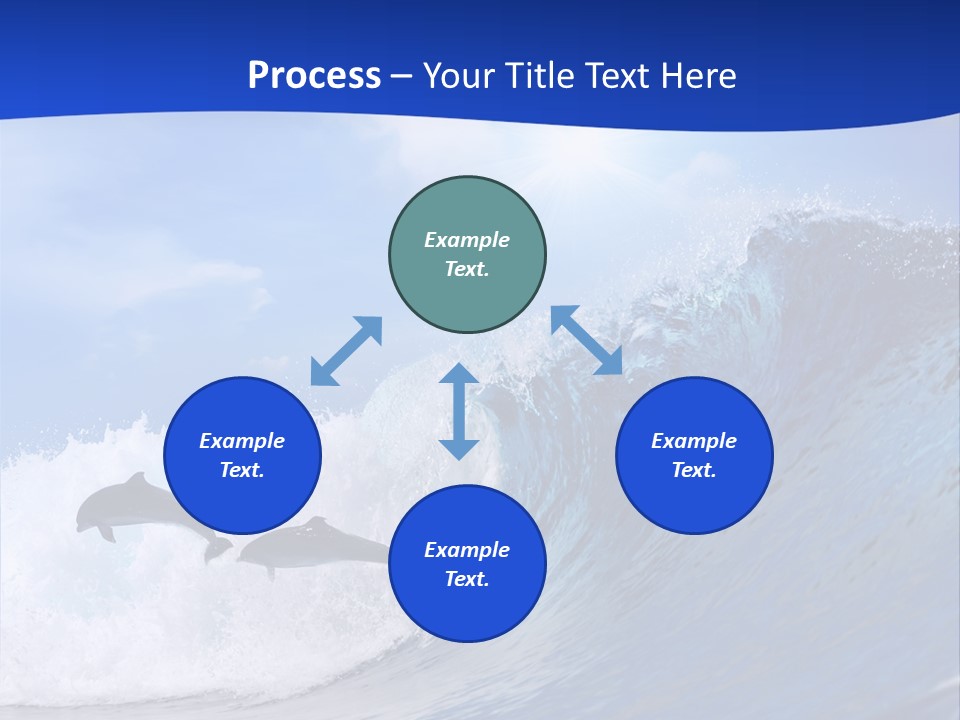 Daylight Animals Splashing PowerPoint Template