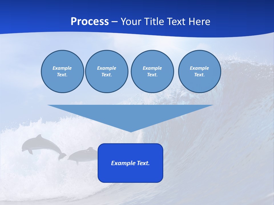 Daylight Animals Splashing PowerPoint Template